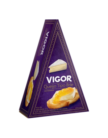 VG QUEIJO TIPO BRIE 12X120G