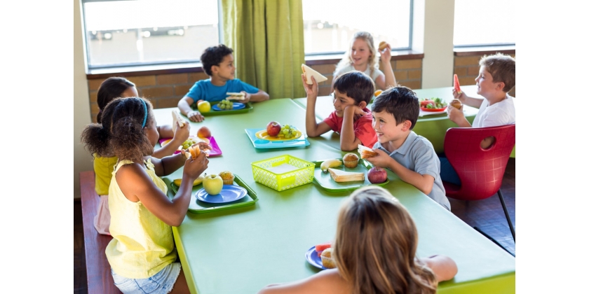 Cantina escolar: como planejar um menu saudável e atraente